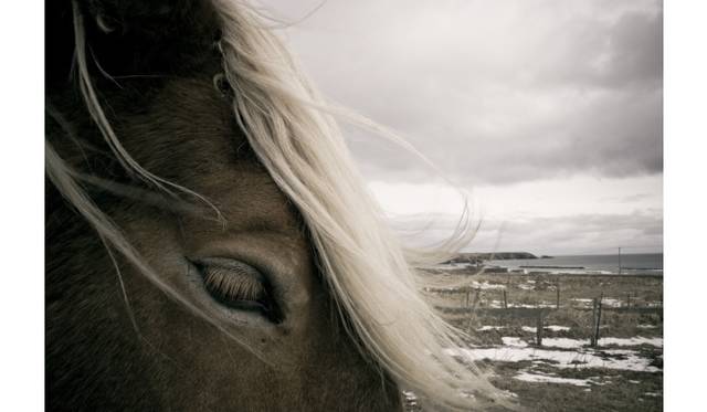 <strong>ART｜北海道の風景を撮影した『TAKEO YAMADA│PARADISELOST』</strong>　Lungta XIV　©TAKEO YAMADA