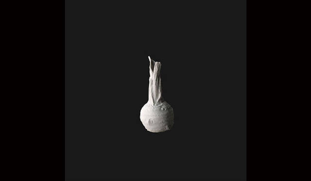 <strong>ON ZA LINE｜オンザライン</strong>　 Showcase「The Garden as Science Fiction」