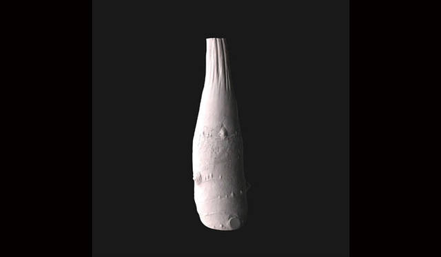 <strong>ON ZA LINE｜オンザライン</strong>　 Showcase「The Garden as Science Fiction」