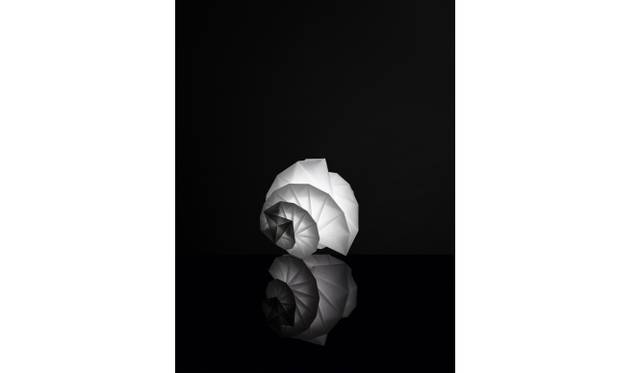 <strong>DESIGN｜21_21デザインサイトで『日本のデザインミュージアム実現にむけて展』</strong>　陰翳 IN-EI ISSEY MIYAKE「MENDORI」2012 (Photo: Hiroshi Iwasaki)