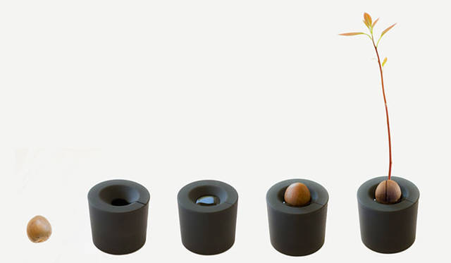 <strong>KRONGTHIP INNOVATION｜クロンティップイノベーション</strong>　「rootcup（ルートカップ）」