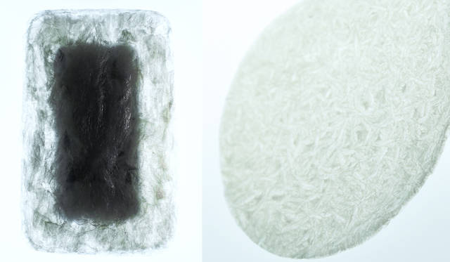 <strong>AGAR PLASTICITY – A POTENTIAL USEFULNESS OF AGAR FOR PACKAGING AND MORE</strong><br />Packaging material made from agar. After use, it improves soil water retention and, if it flows into the sea, it is a new material that considers environmental conservation as it does not harm marine life as it is a natural material.