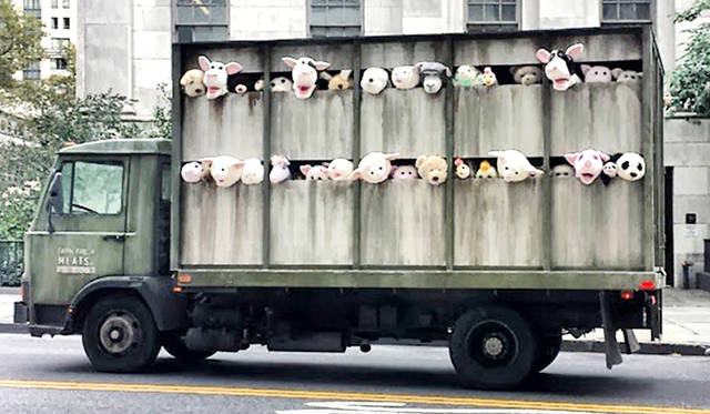 A truck carrying stuffed farm animals drives through the city (sometimes stopping at butcher shops).
