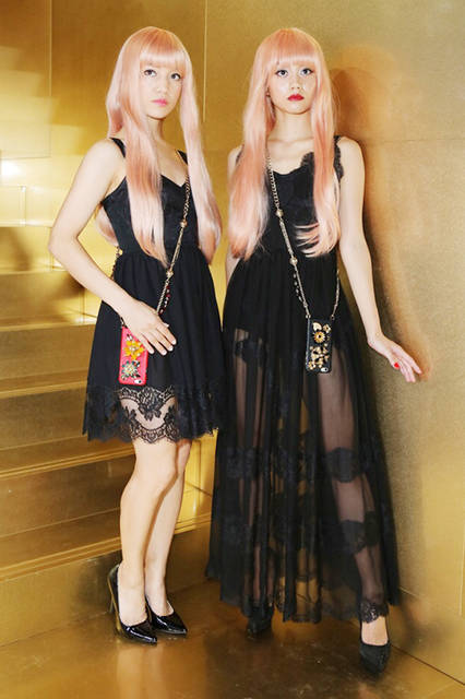 FEMM