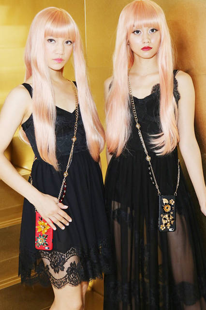 FEMM