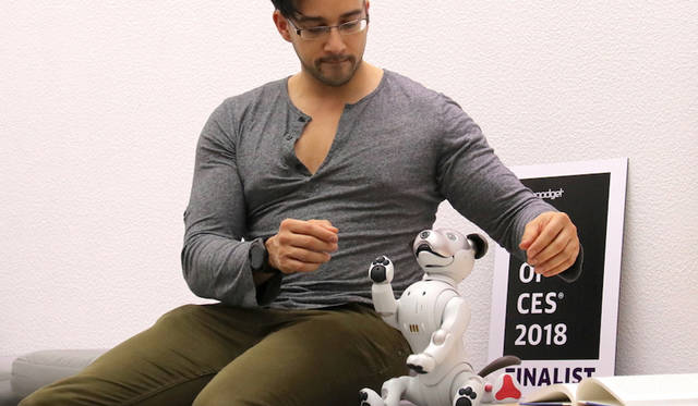 Sony aibo