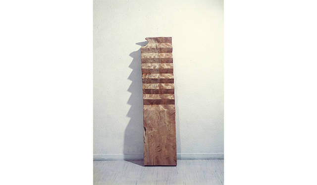 小清水漸 赤と木 5Courtesy of the artist and Tokyo Gallery+BTAP