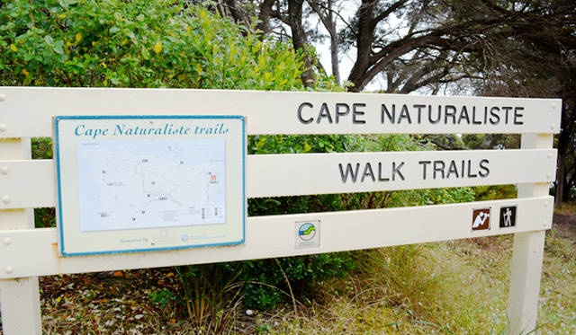 <br />There are several trail courses around Margaret River, allowing you to choose based on your condition