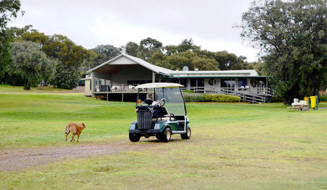<br />The manager, with his beloved dog, driving a cart himself, adds to the tranquil scene