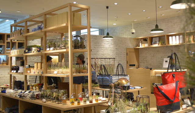 <strong>THE COMMON TEMPO</strong><br />Interior of the Lucua 1100 store