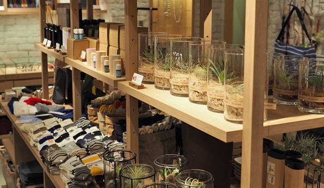 <strong>THE COMMON TEMPO</strong><br />Interior of the Lucua 1100 store