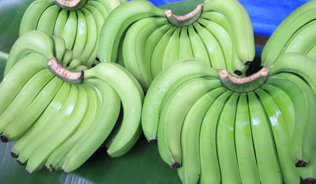 <strong>unifrutti | Unifrutti</strong><br />"Chikyu Sodachi Shiawase Banana®"<br />Bananas harvested with green peels gradually break down their accumulated starch, developing sweetness through ripening and sugar conversion.