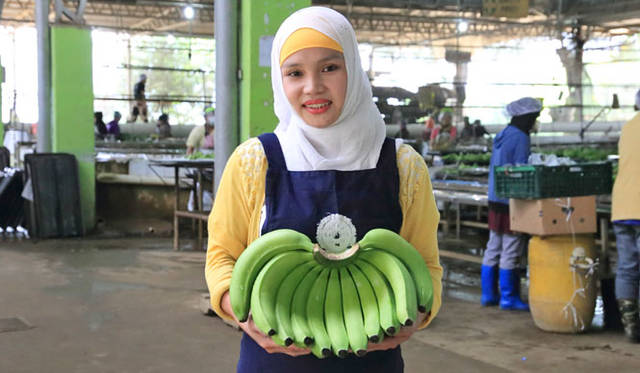 <strong>unifrutti | Unifrutti</strong><br />"Chikyu Sodachi Shiawase Banana®"<br />Skilled ripening artisans, with their extensive knowledge and experience, expertly convert the abundant starch into sugar. While the typical ripening period is five days, "Chikyu Sodachi Shiawase Banana®" undergoes seven days of ripening to ensure the sugar penetrates to the core. This process also enhances their fragrant aroma.