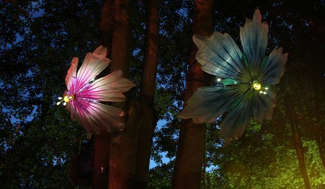 Bloom Photo: Marleen Maathuis