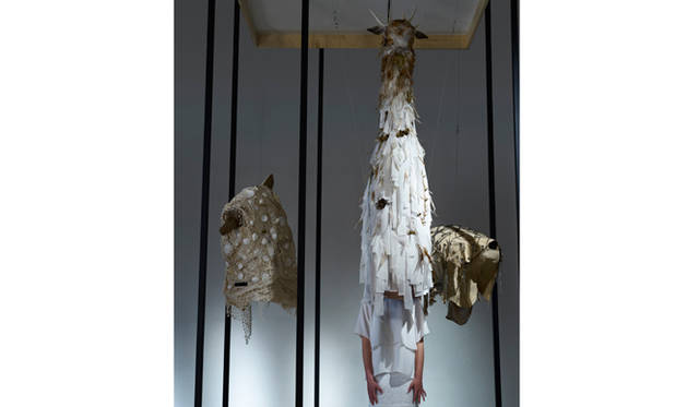 "Animal Mask" uses digital devices to offer a new perceptual experience, exploring how dolphins, snakes, and giraffes see the outside world.