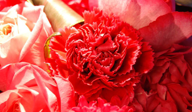 <strong>FLORALUXE</strong><br />2015 Spring Flower & Mother’s Day “Spring Flower Design and Mother’s Day”