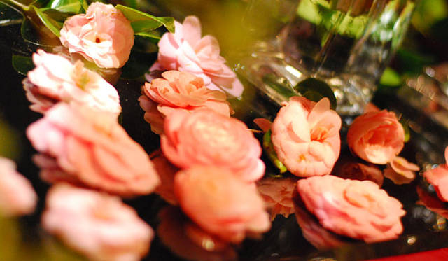 <strong>FLORALUXE</strong><br />2015 Spring Flower & Mother’s Day “Spring Flower Design and Mother’s Day”