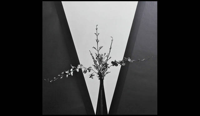 <strong>AXIS GALLERY</strong><br />"AXIS PHOTO MARCHE 2" - Robert Mapplethorpe "Flowers", 1980