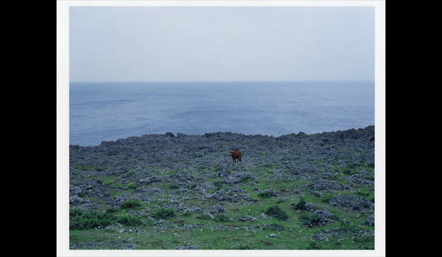 <strong>AXIS GALLERY</strong><br />"AXIS PHOTO MARCHE 2" - Gelatin Silver Session Photo Award Excellence Award - Yuichi Ikeda "The Beginning of the Wind"