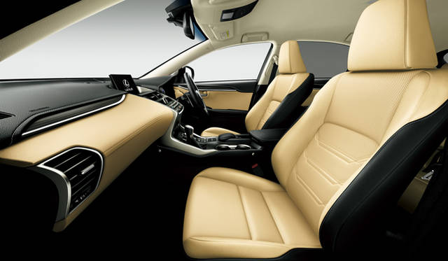 NX300h version L