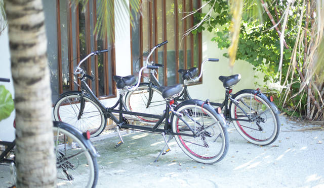 各部屋には大人用2台と子ども用1台、計3台の自転車が備え付けられている