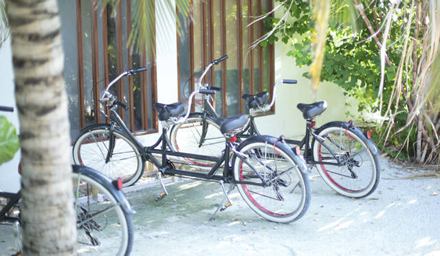 各部屋には大人用2台と子ども用1台、計3台の自転車が備え付けられている