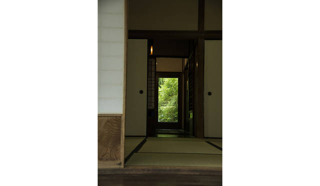 Dondakean, Kitakamakura (c) Toru Hiraiwa
