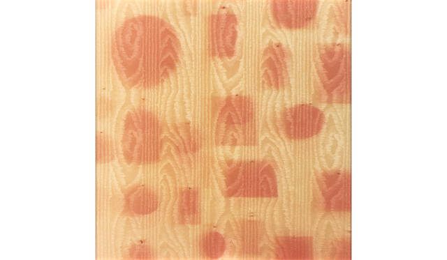 Ita Balada, "Genealogy," 2005 / 150 x 150 cm / C-printCourtesy the artist and Sfeir-Semler Gallery, Beirut/Hamburg / Deutsche Bank Collection