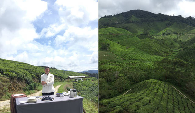 <strong>uka | </strong> Cameron Highlands Resort, Malaysia