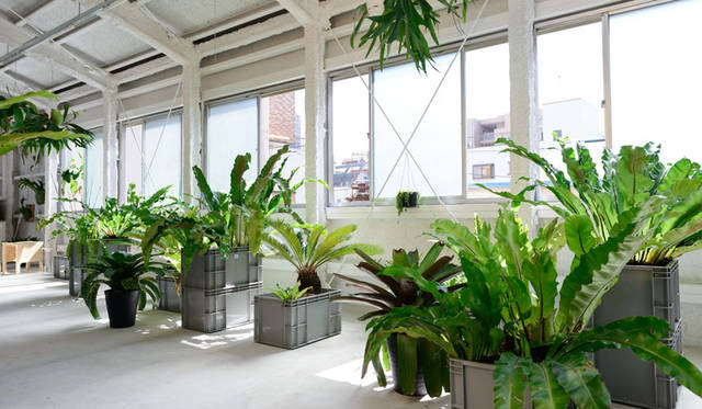3rd Floor, Takahashi Hiroko Oshiage Studio (with a vegetable garden for cultivation and private studio rooms)