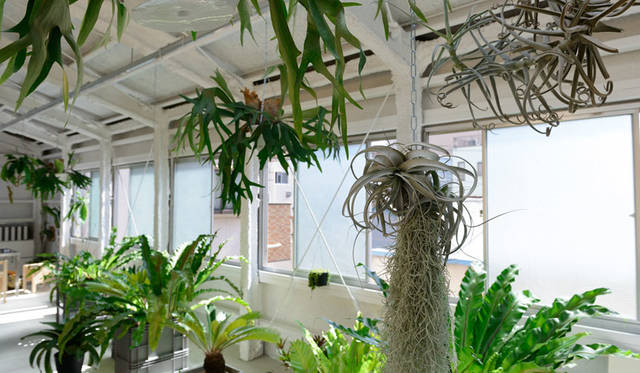 3rd Floor, Takahashi Hiroko Oshiage Studio