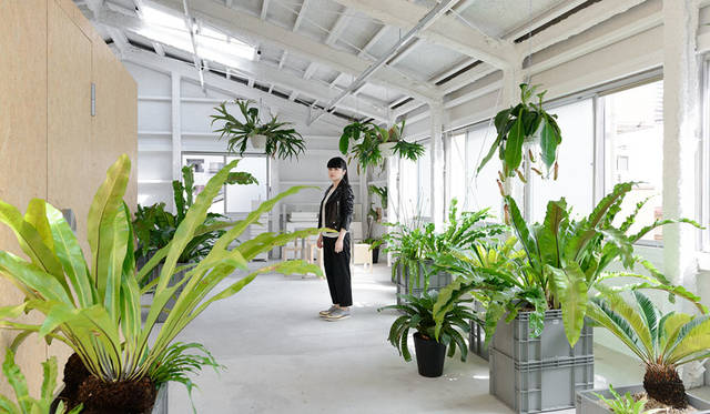 <strong>TAKAHASHI HIROKO</strong><br />3rd Floor, Takahashi Hiroko Oshiage Studio