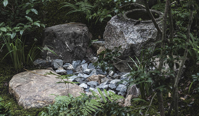 Photo by Tomooki Kengaku