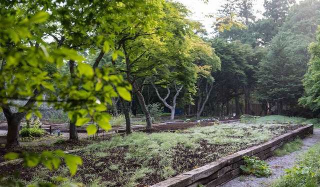 aaaa