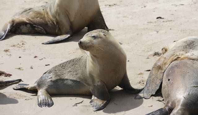 ©Tourism Australia