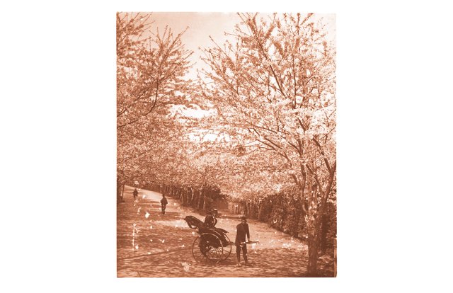 東京-上野公園 東京-上野公園
