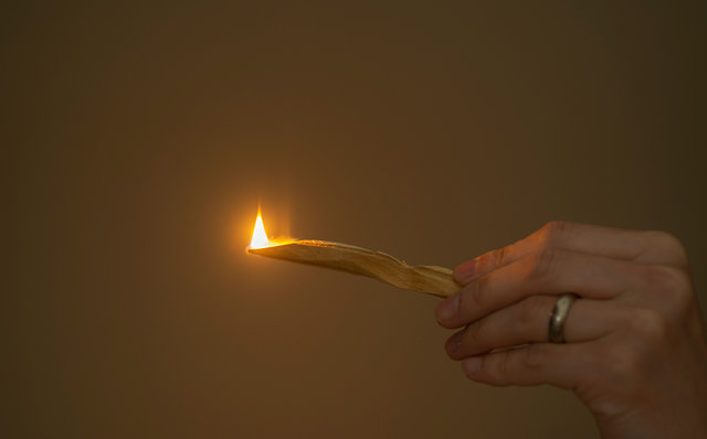 WHOLE TREE Palo Santo