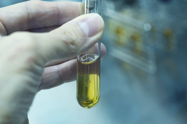 研究_自社酵母開発