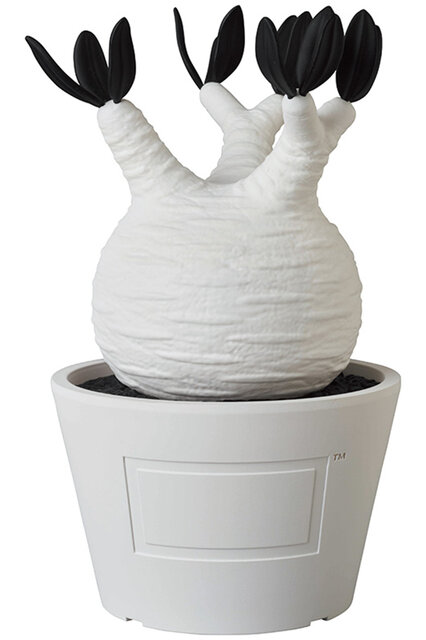 BOTANIZEとのコラボで塊根植物をフィギュア化。VCD Pachypodium