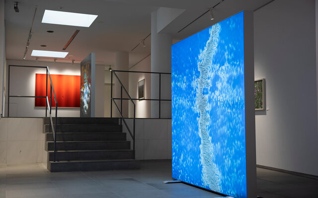 柿本ケンサクの新作写真展『TRANSFORMATION』が代官山ヒルサイドテラス・ヒルサイドフォーラムにて開催｜ART