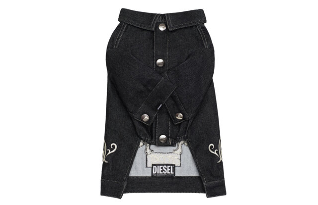 ディーゼル初、大胆さを備えたドッグウェアコレクションが登場｜DIESEL