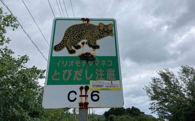 Almost like going abroad! An overwhelming sense of the extraordinary. Island hopping among the Yaeyama Islands, starting from Ishigaki Island, Okinawa. | TRAVEL