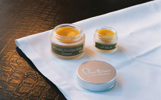 オリーブを使った化粧品ブランドが取り組む、持続可能な成長｜OLEA ESSENCE