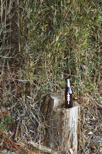 3.11から11年。復興の象徴「一本松」の名を冠したクラフトビールが登場｜EAT
