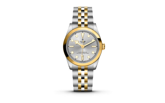 Robustness that exudes Tudor's signature style, with a genderless design. The 'Black Bay 31/36/39/41 S&G' clad in sparkling yellow gold | TUDOR