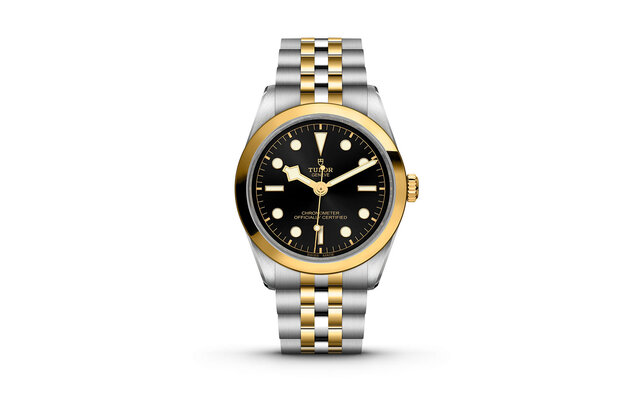 Robustness that exudes Tudor's signature style, with a genderless design. The 'Black Bay 31/36/39/41 S&G' clad in sparkling yellow gold | TUDOR