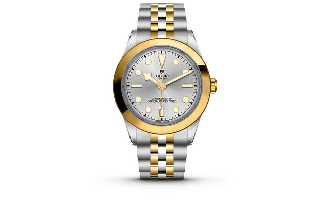 Robustness that exudes Tudor's signature style, with a genderless design. The 'Black Bay 31/36/39/41 S&G' clad in sparkling yellow gold | TUDOR