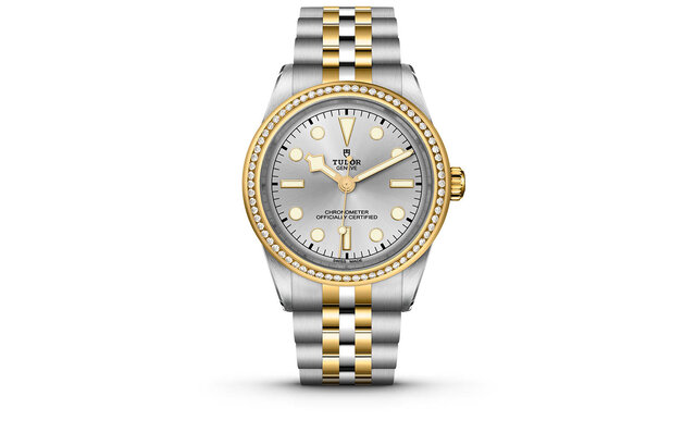 Robustness that exudes Tudor's signature style, with a genderless design. The 'Black Bay 31/36/39/41 S&G' clad in sparkling yellow gold | TUDOR