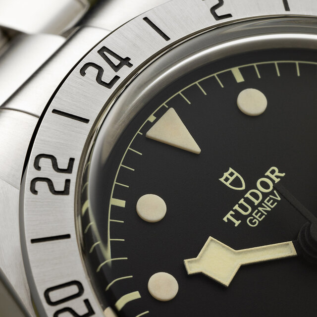 A must-see! Among the current lineup, the only top technical model designated as 'Pro' | TUDOR