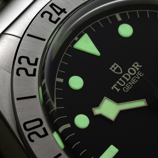 A must-see! Among the current lineup, the only top technical model designated as 'Pro' | TUDOR